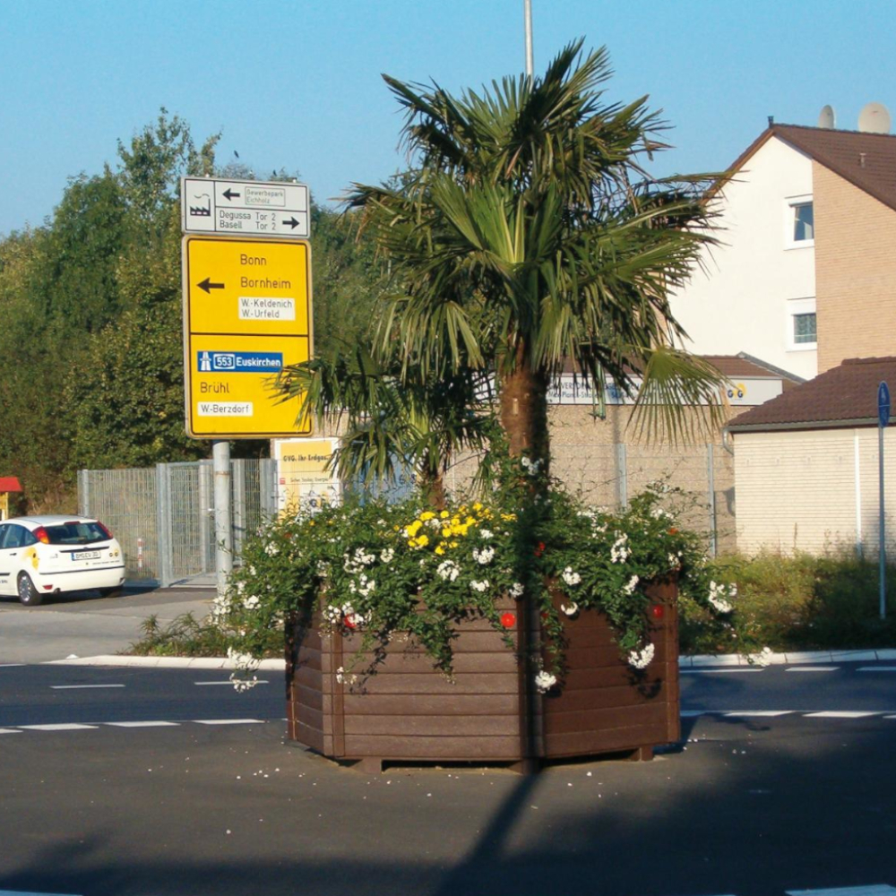 sechseckiger Blumenkübel mit Bepflanzung vor Palme auf Straße vor Haus und Mauer