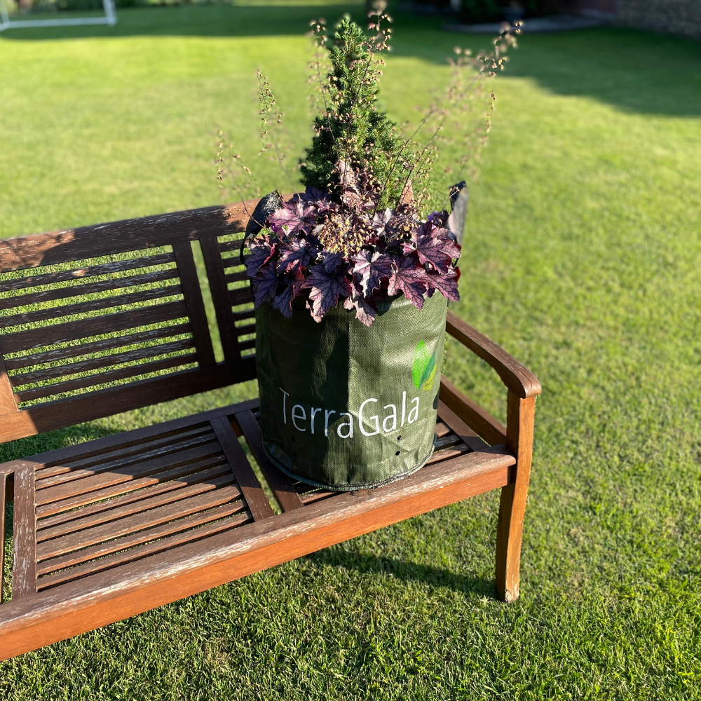 Pflanzsack mit Herbstpflanzen auf Gartenbank