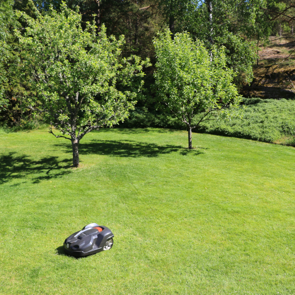 Mit Mähroboter befahrbar