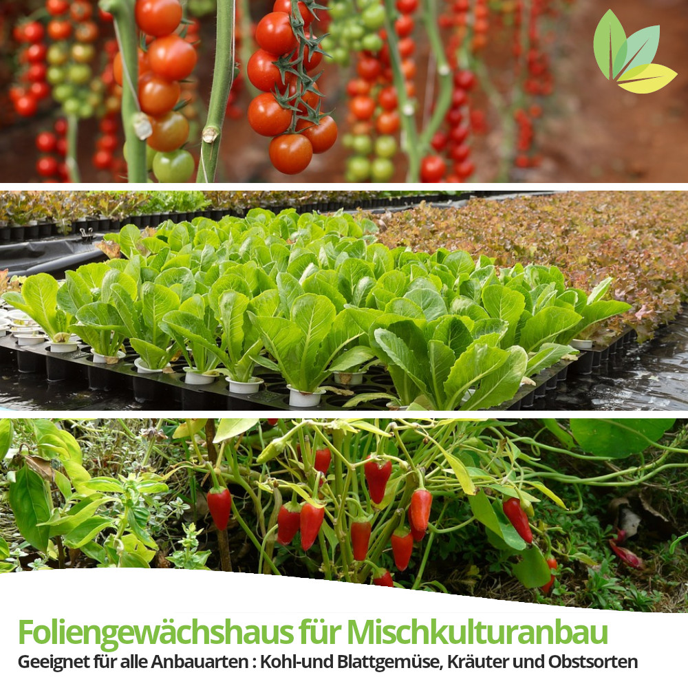 Foliengewächshaus eignet sich für Mischkultur