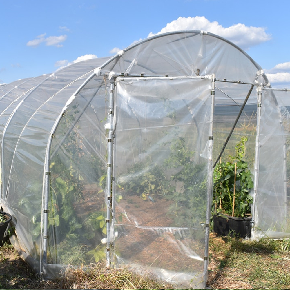 1 Folientunnel mit geöffneter Tür
