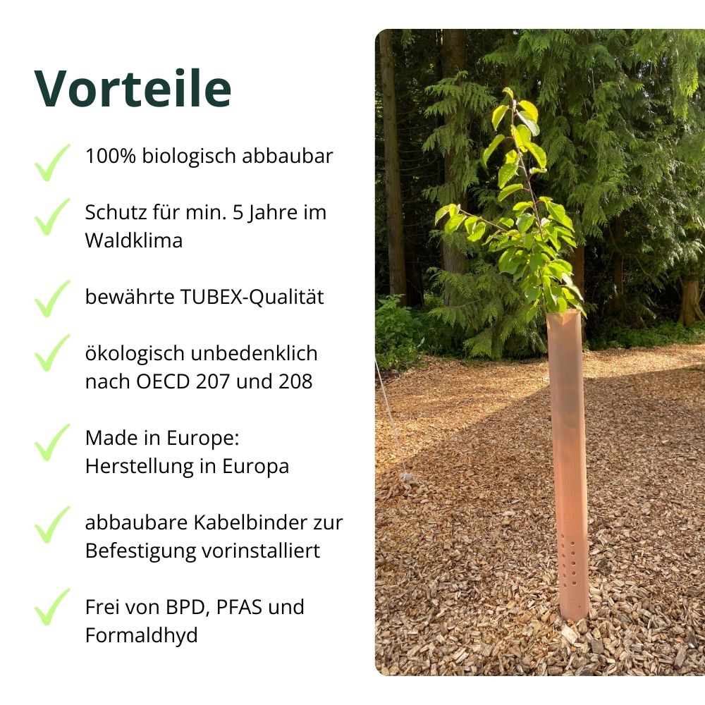 Vorteile der TUBEX Nature Wuchshülle: 100% biologisch abbaubar, Schutz für min. 5 Jahre im Waldklima
