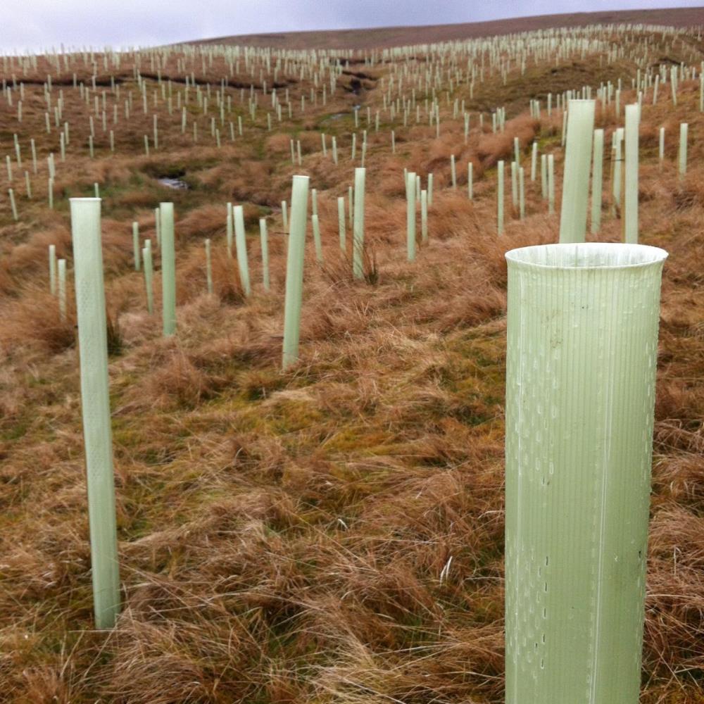 TUBEX Combitube Plus im freien Feld
