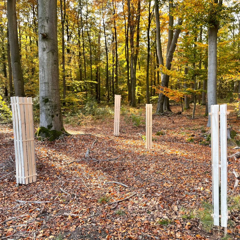 PureNature Wuchshüllen im Wald