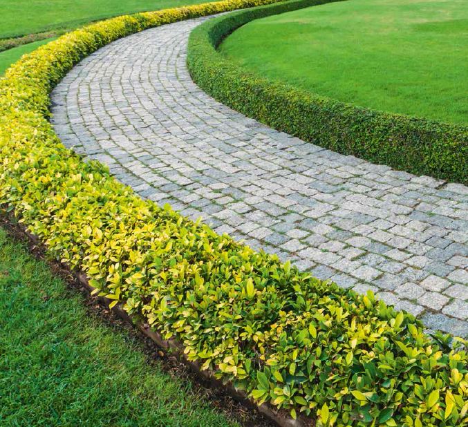 Rootguard als Unkrautvlies unter Pflastersteinweg