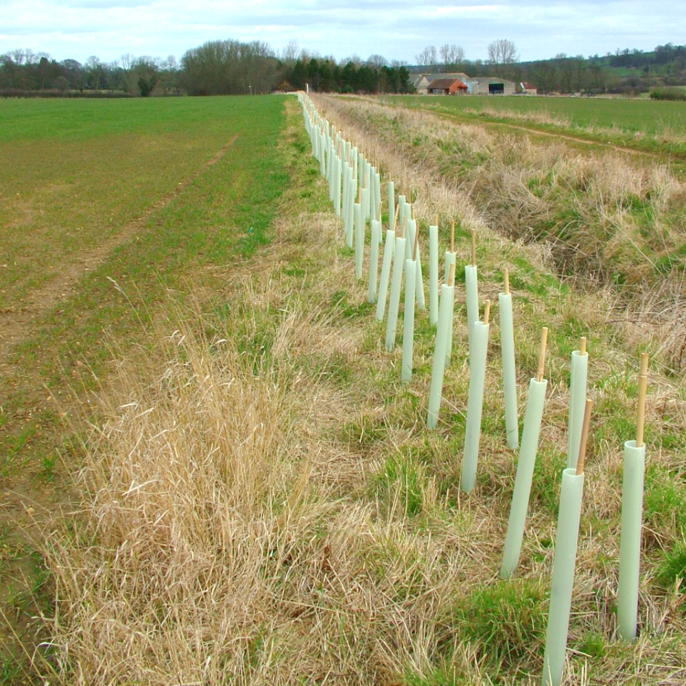 TUBEX Easywrap auf dem Feld