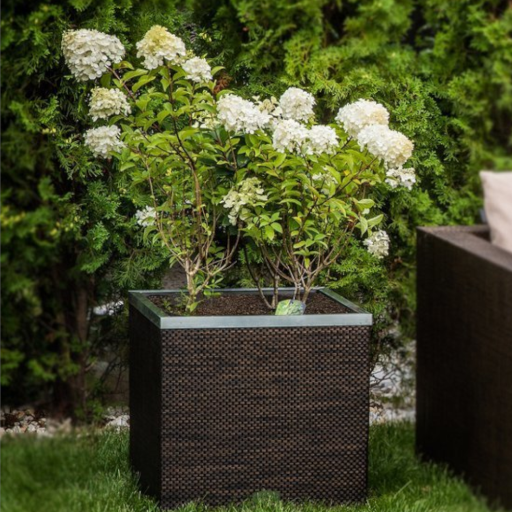 Grauer Pflanzkübel bepflanzt mit Hortensien