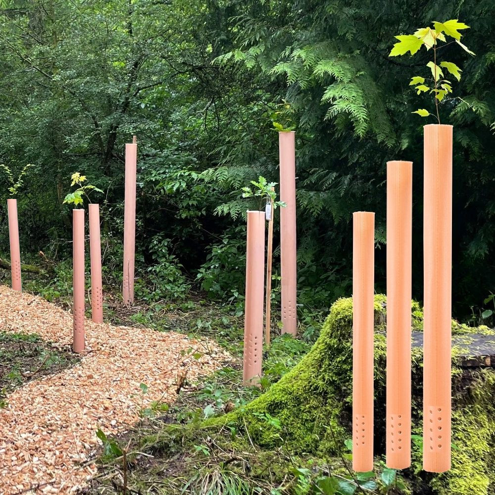 TUBEX Nature Wuchshüllen, biologisch abbaubar, 1,2m, Ø 80-120mm