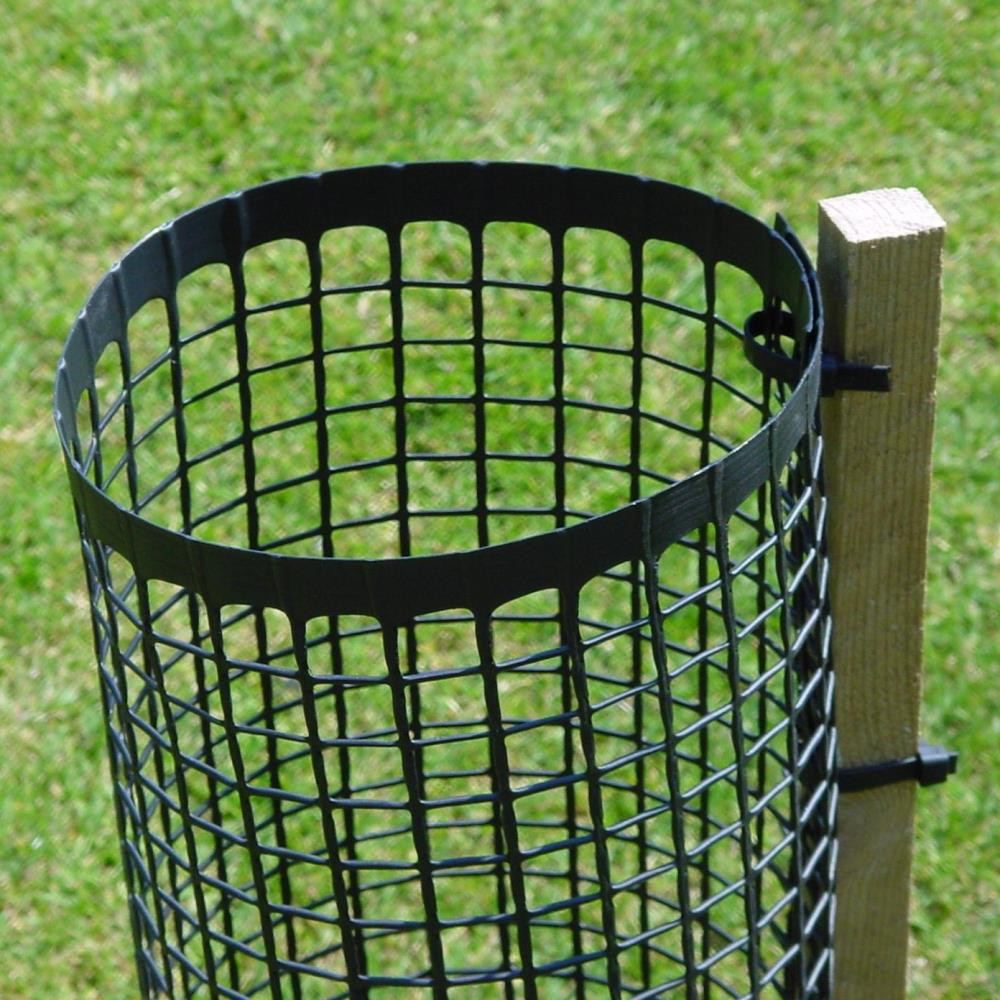 Treeguard mit Hartholzpfahl und Kabelbinder befestigt