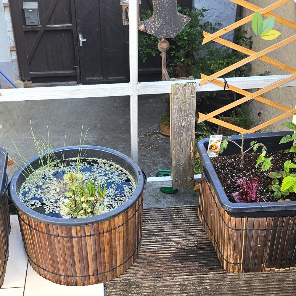 Bambusmatte als Verkleidung für Balkonteiche