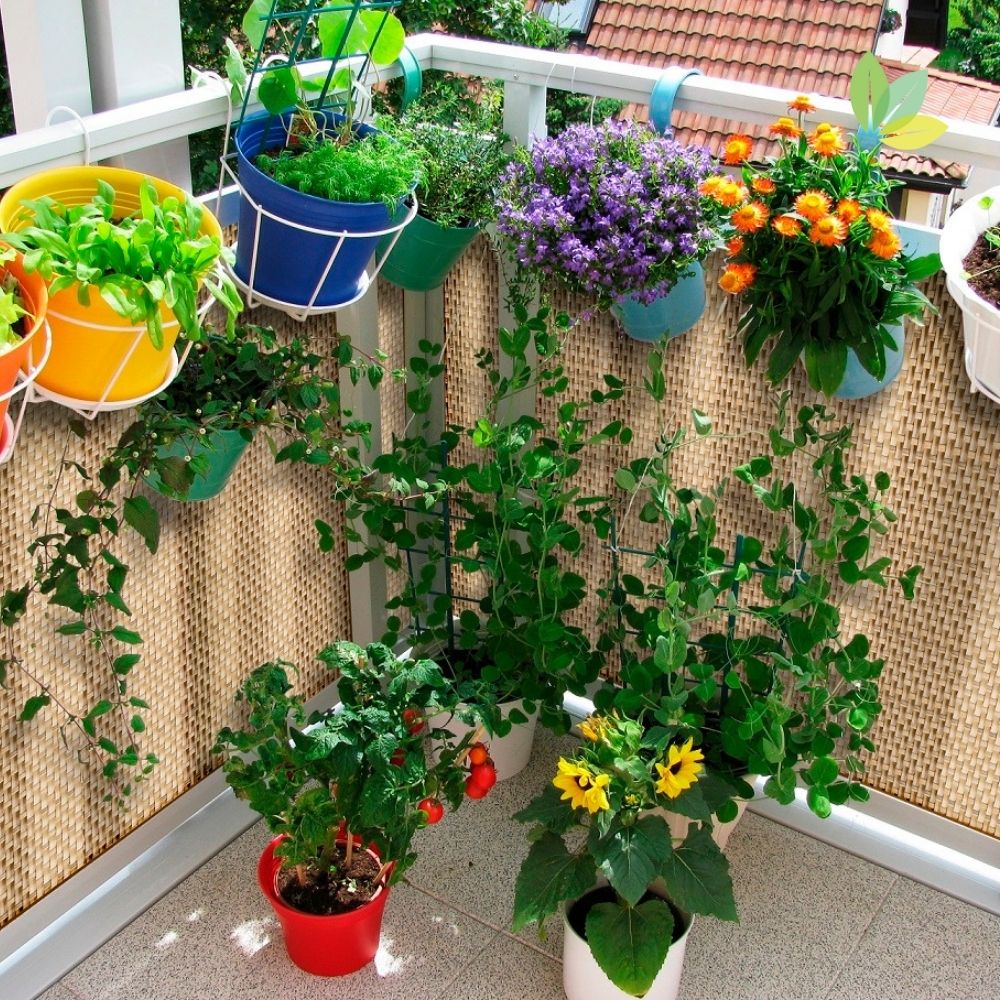 Strohfarbener Rattan als Balkon Sichtschutz