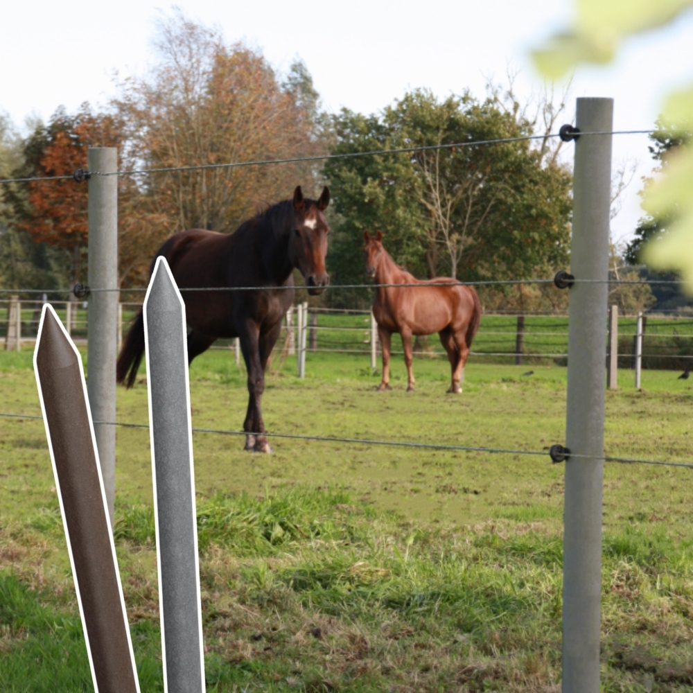 Recyclingpfähle für Pferdezaun