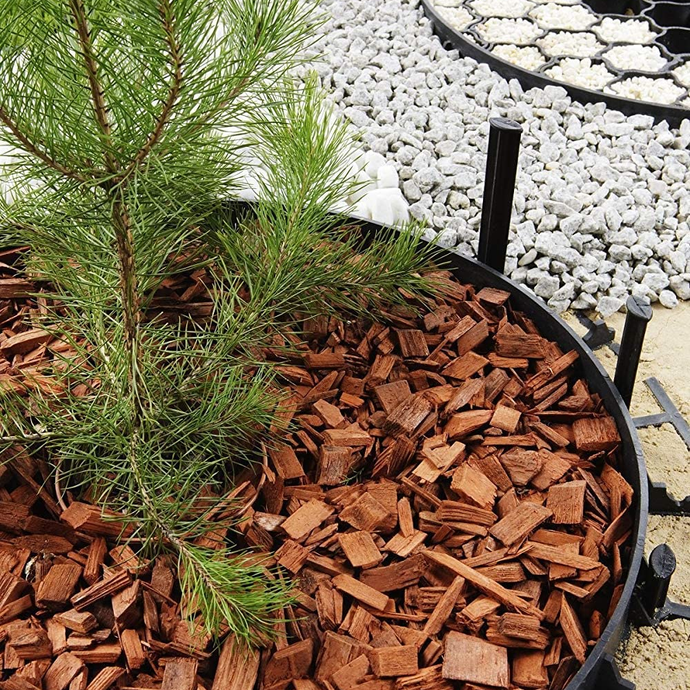 zu einem Kreis gebogene Rasenkante mit Pellets befüllt und einem Nadelbaum innen drin