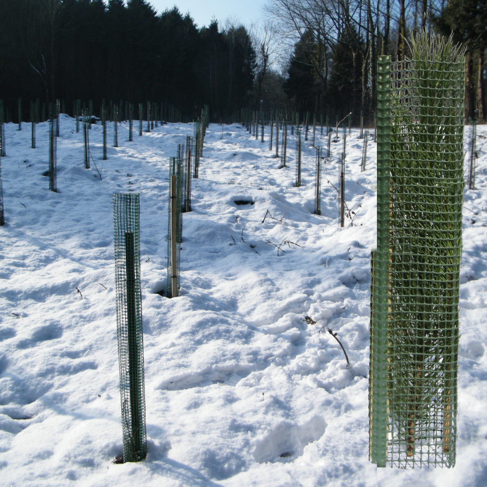 Treeguard Layflats im Schneefeld zum Verbissschutz