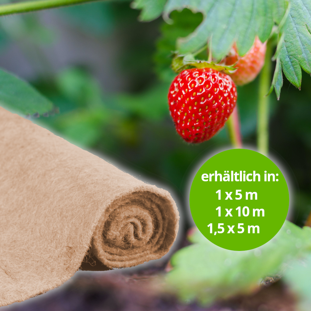 Erdbeervlies aus Jute ist erhältlich in den Größen 1 x5m, 1 x 10m und 1,5 x 5m