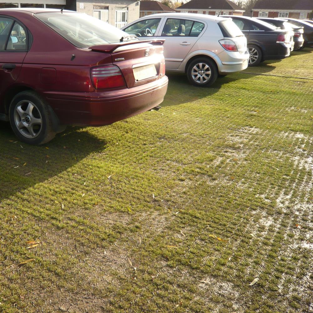 Rasenparkplatz mit Rasengitter