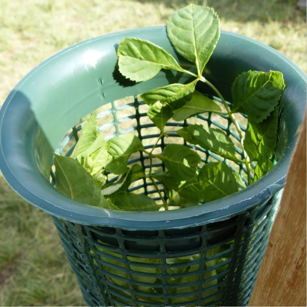 Nahaufnahme von oben der Treeguard Baumschutz-Gitter-Röhre