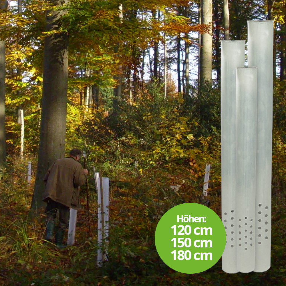 TUBEX Ventex Clear, Wuchshülle für lichtarme Standorte, Ø 80-120mm