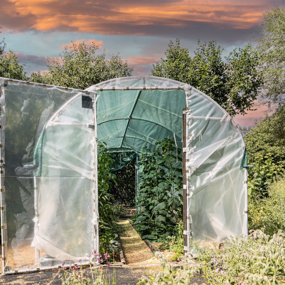 Mini-Römi Gewächshaus mit Tomatenpflanzen vor Sonnenuntergang