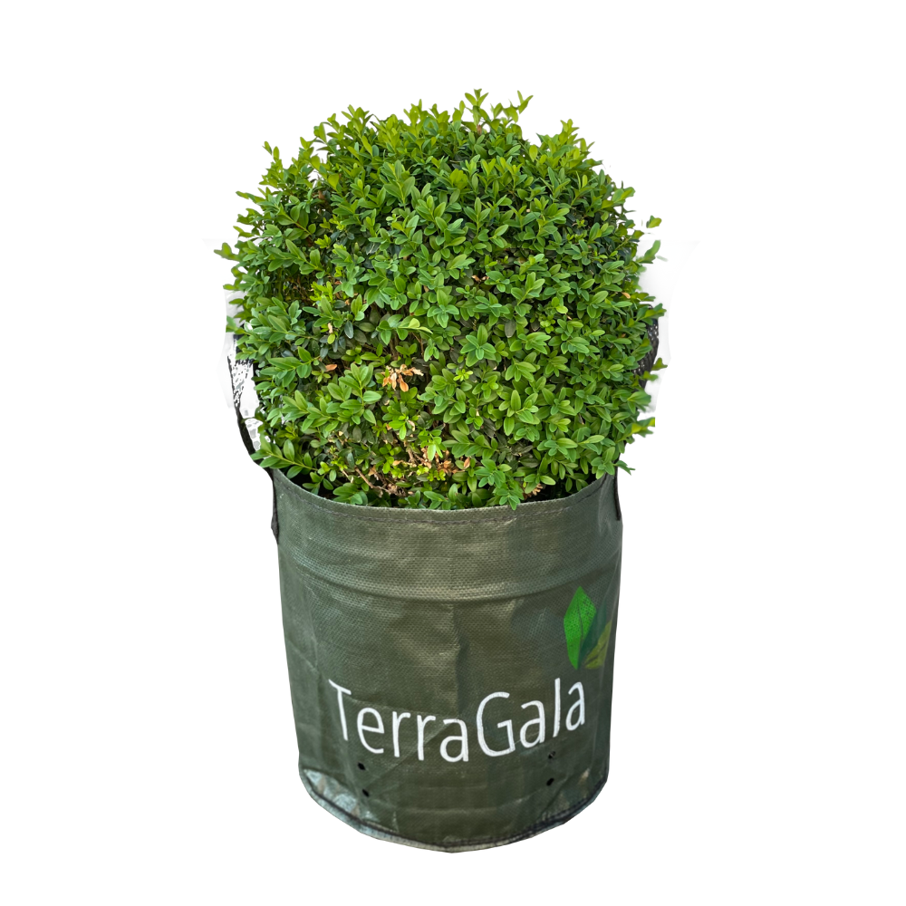 Laubsack von TerraGala mit Laub gefüllt