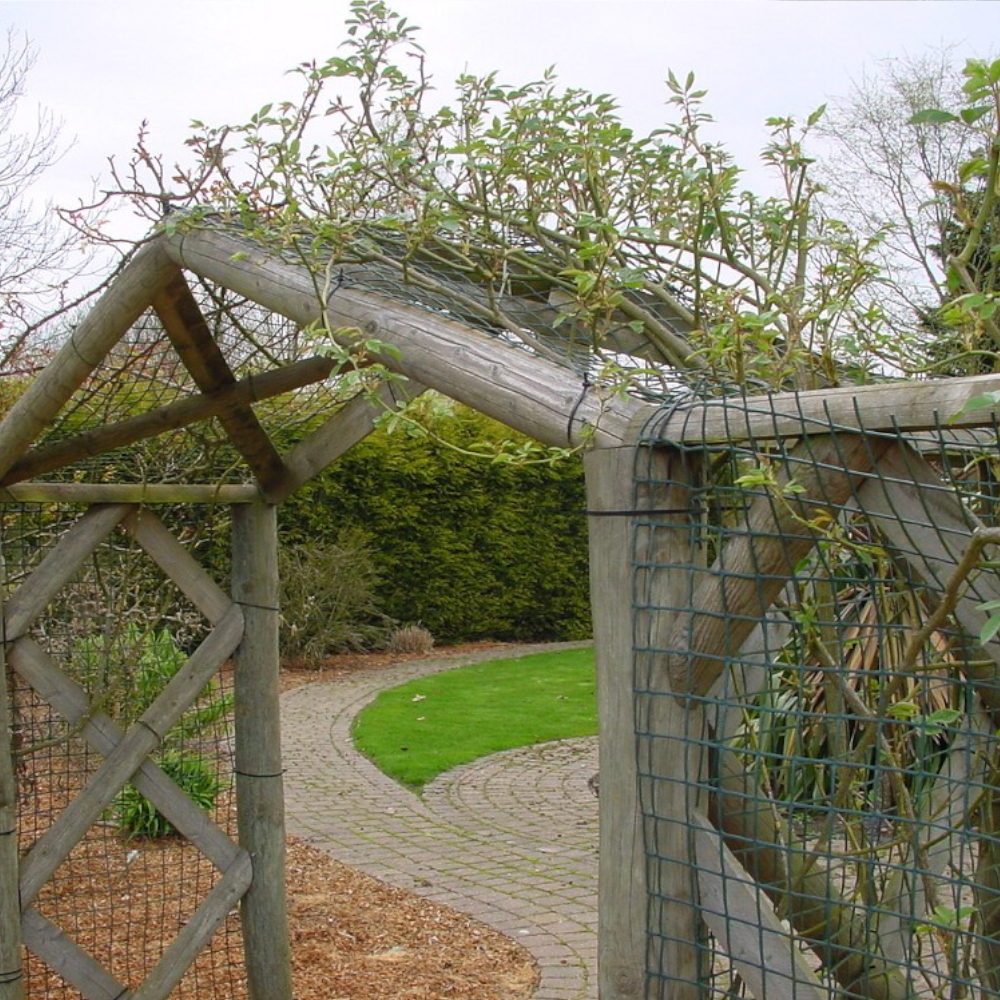 Zaun wird als Rankgitter für Rosenbogen verwendet