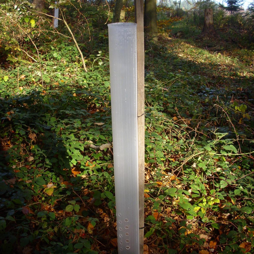 Tubex Ventex Clear befestigt mit Hartholzpfahl