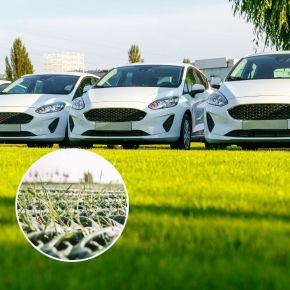 GrassProtecta Rasengitter als Parkplatz