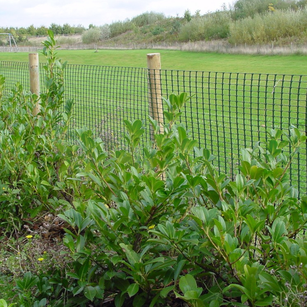 Abgrenzung von Fußballfeld mit Zaun