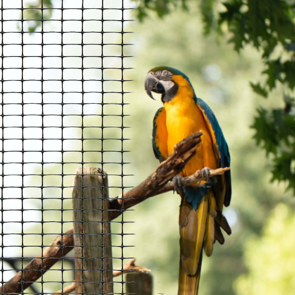 Schutznetz aus Kunststoff und daneben ein Papagei Vogel