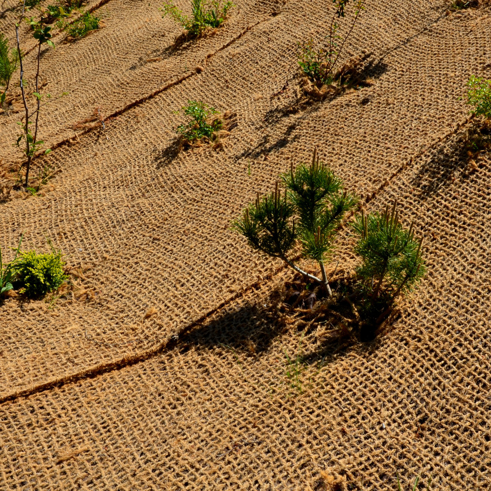 Erosionsschutzmatte aus Jute am Hang aufgespannt