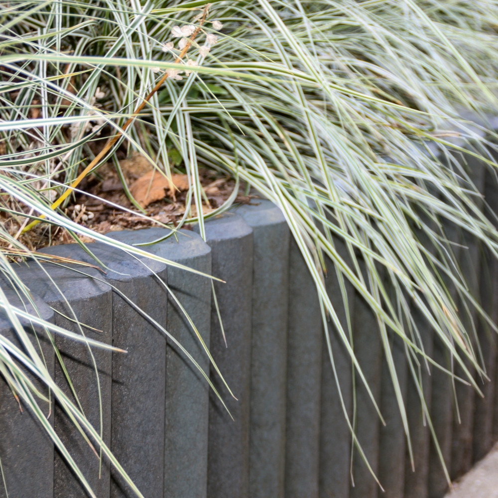 Gras wächste über graue Hohlkehlpalisaden hinweg