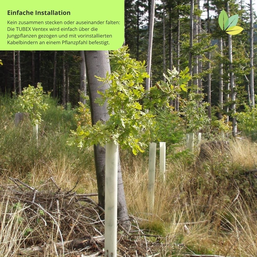 das innere der Tubex Ventex Wuchshülle