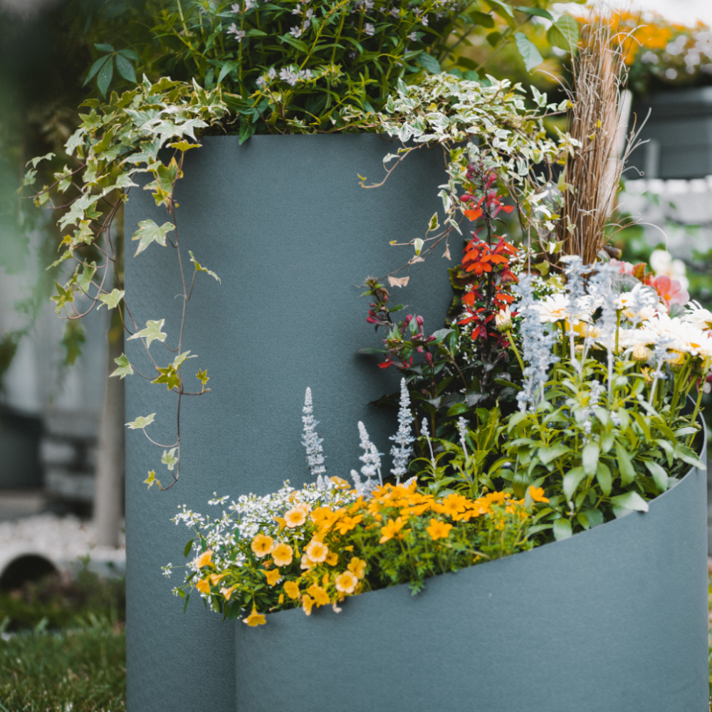 Kräuterspirale bepflanzt mit Blumen und Rankpflanzen