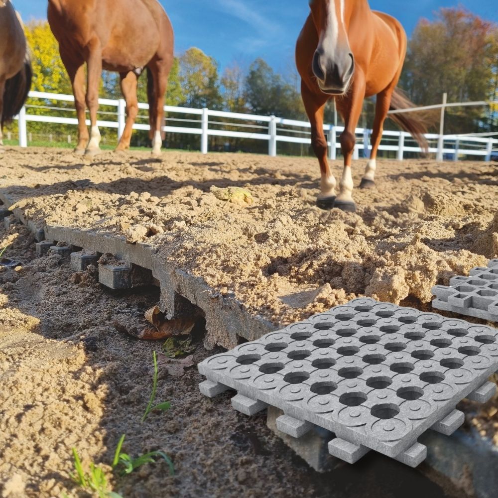 hanit® Paddock ohne Unterbau, 50 x 50 x 5,3 cm, grau