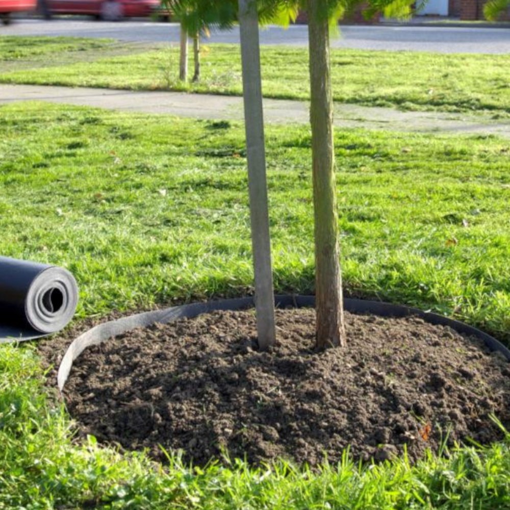 vertikal umrandeter Baum von Rolle Wurzelsperre, daneben liegend eine Rolle Wurzelsperre