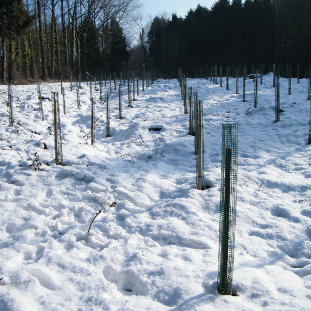 Baumschutz-Flach-Gitter Einsatz im Winter