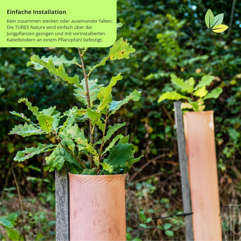 Einfache Installation dank abbaubaren Kabelbindern an der Wuchshülle