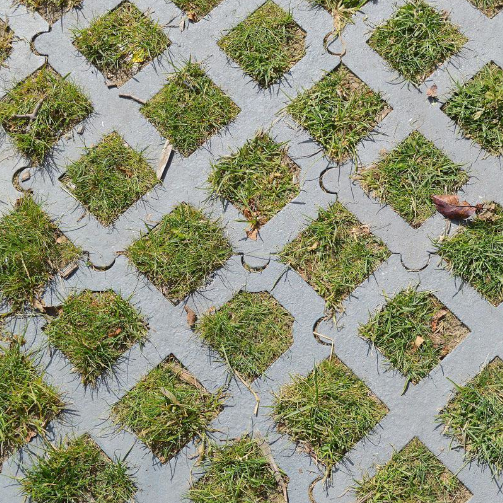 Rasengittersteine mit Gras