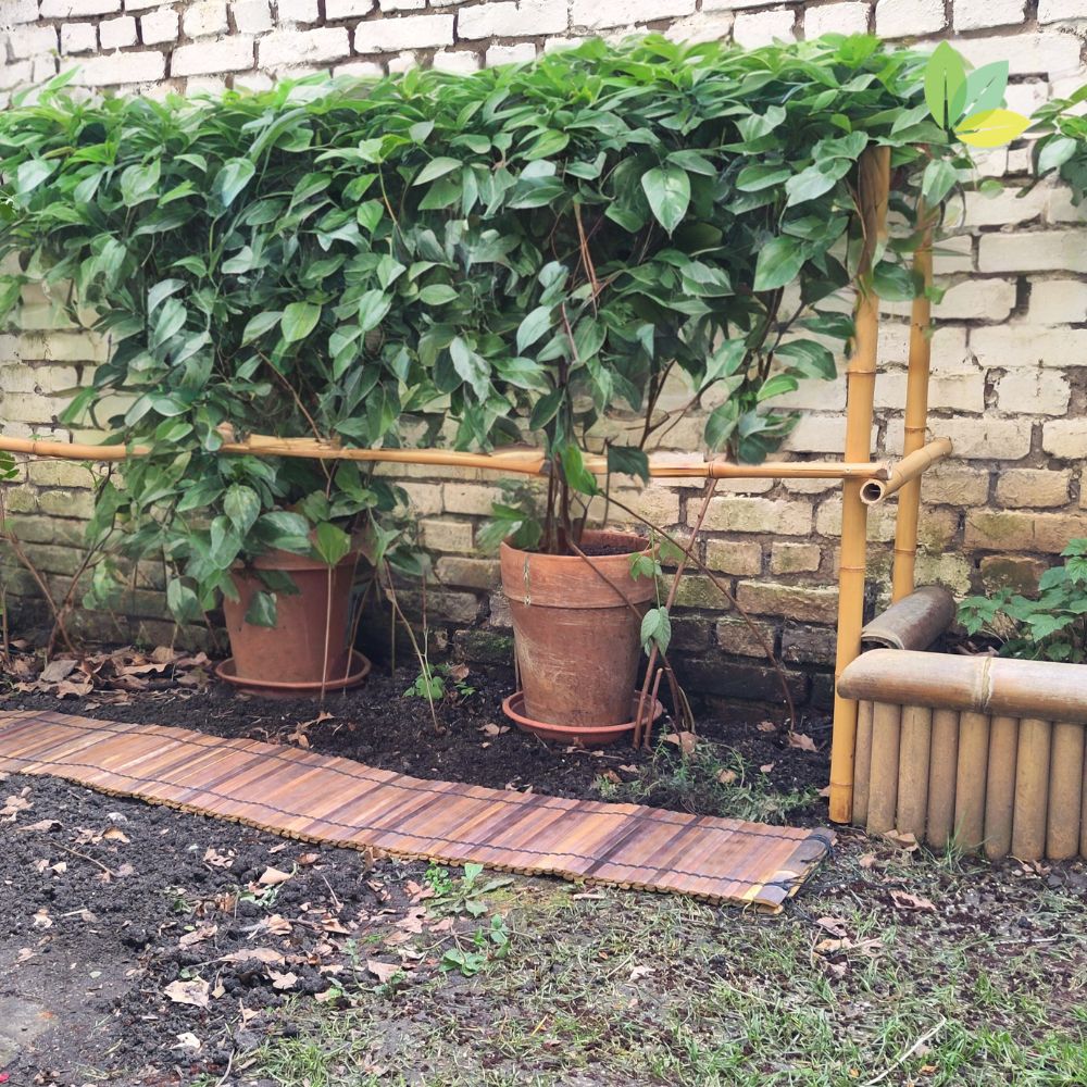 Bambusmatte als Gartenweg