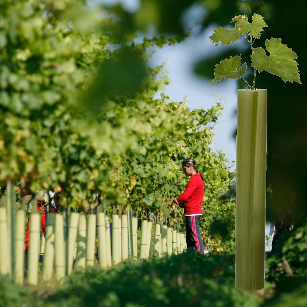 TUBEX Vinewrap für Weinreben