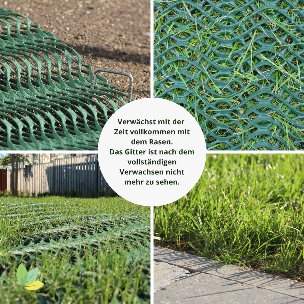 Ablauf des Verwachsen nach der Installation