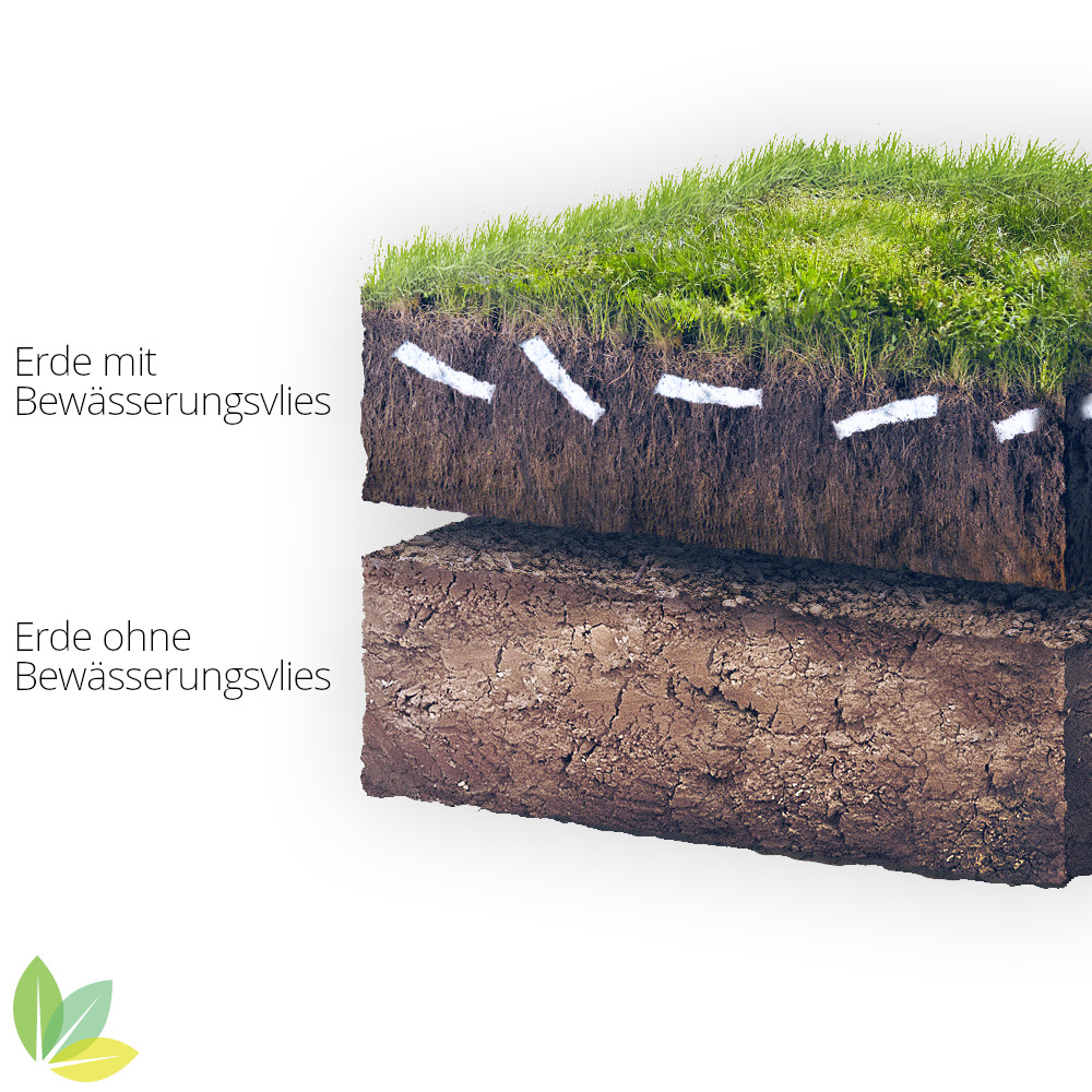 Vergleich zw. gut bewässerter Erde mit Bewässerungsvlies und trockener Erde ohne Bewässerungsvlies
