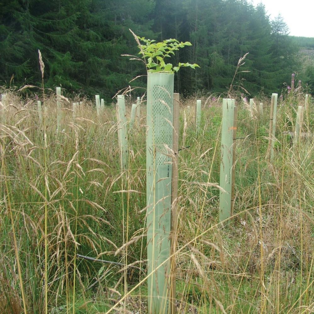 TUBEX Combitube Plus auf freier Fläche