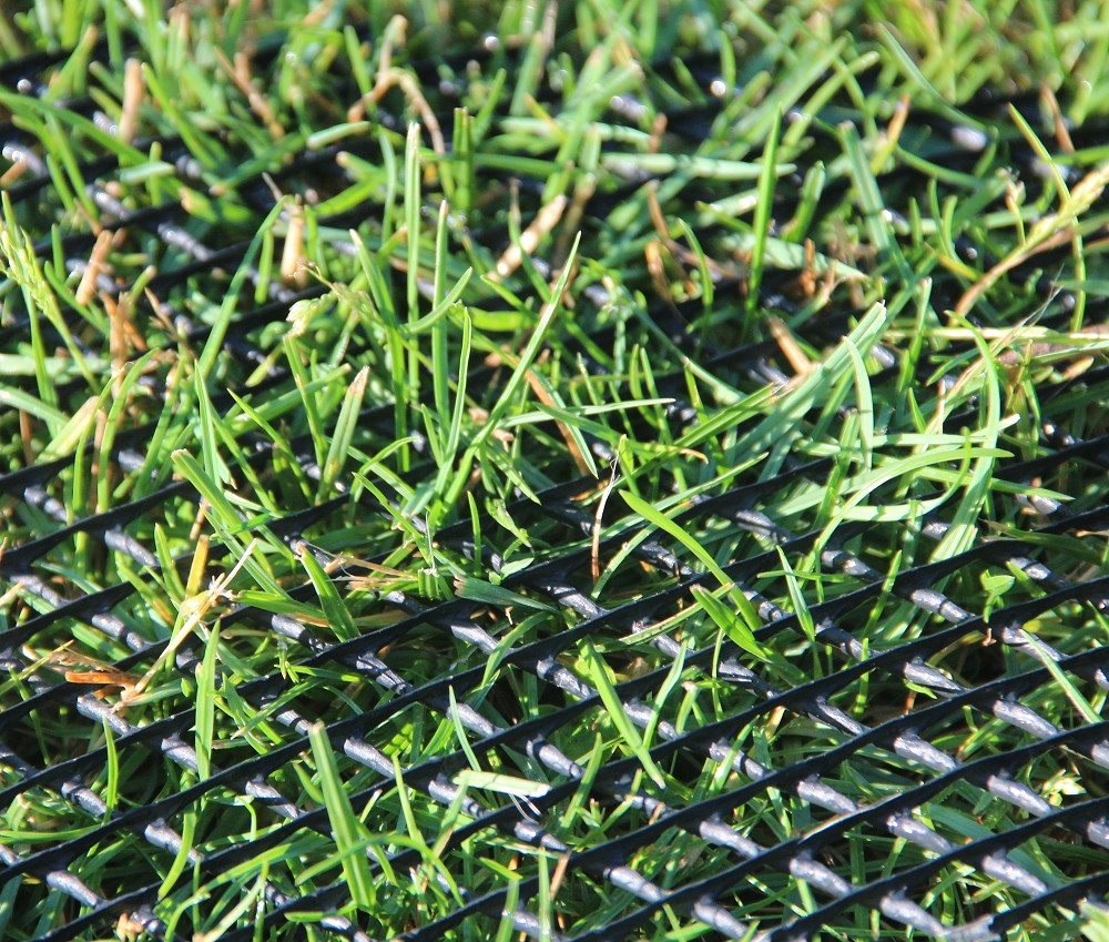 Maulwurfgitter liegt auf Gras und das Gras waechst durch