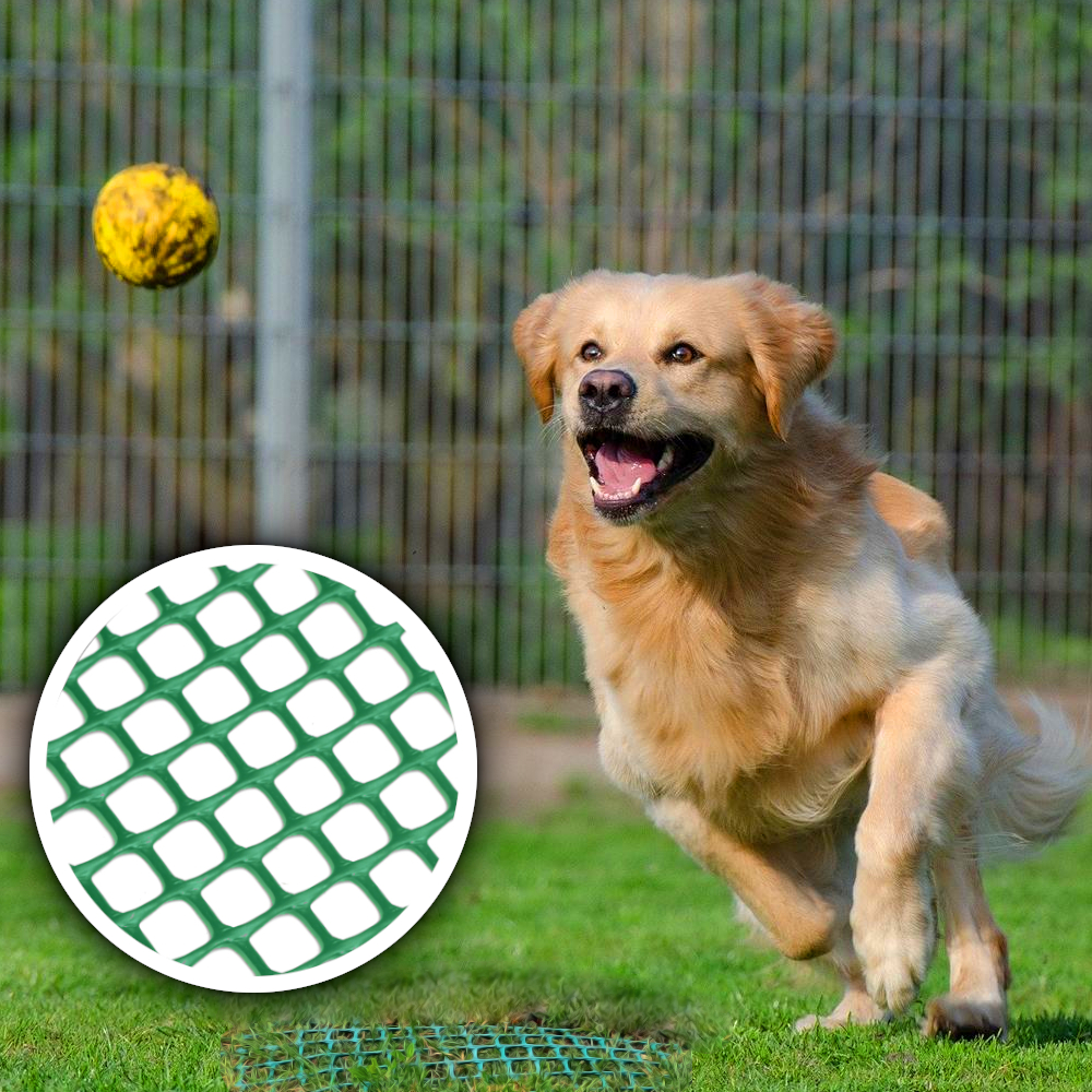 blonder großer Hund verfolgt gelben kleinen Ball auf grünem Rasengitter