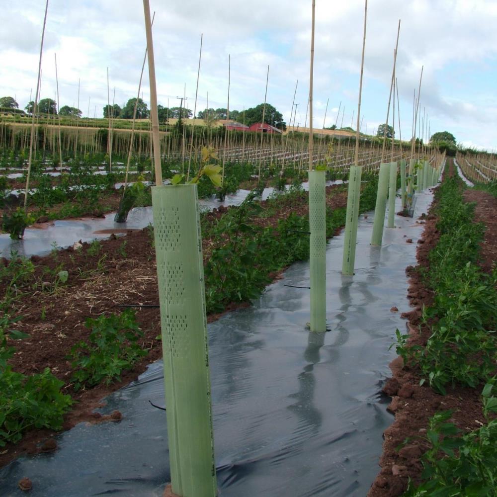 TUBEX Combitube Plus ohne Perforation im unteren Bereich für Schutz vor Herbiziden