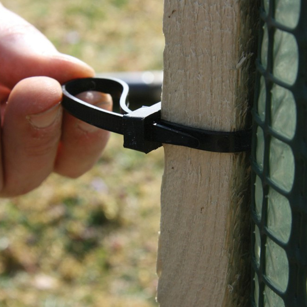 Kabelbinder nicht wiederverschließbar an Hartholzpfahl