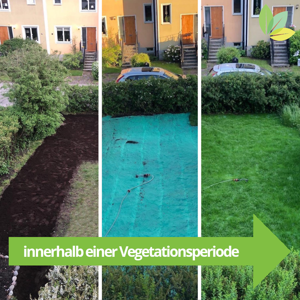 Verlauf des Wachstums innerhalb einer Wachstumsperiode