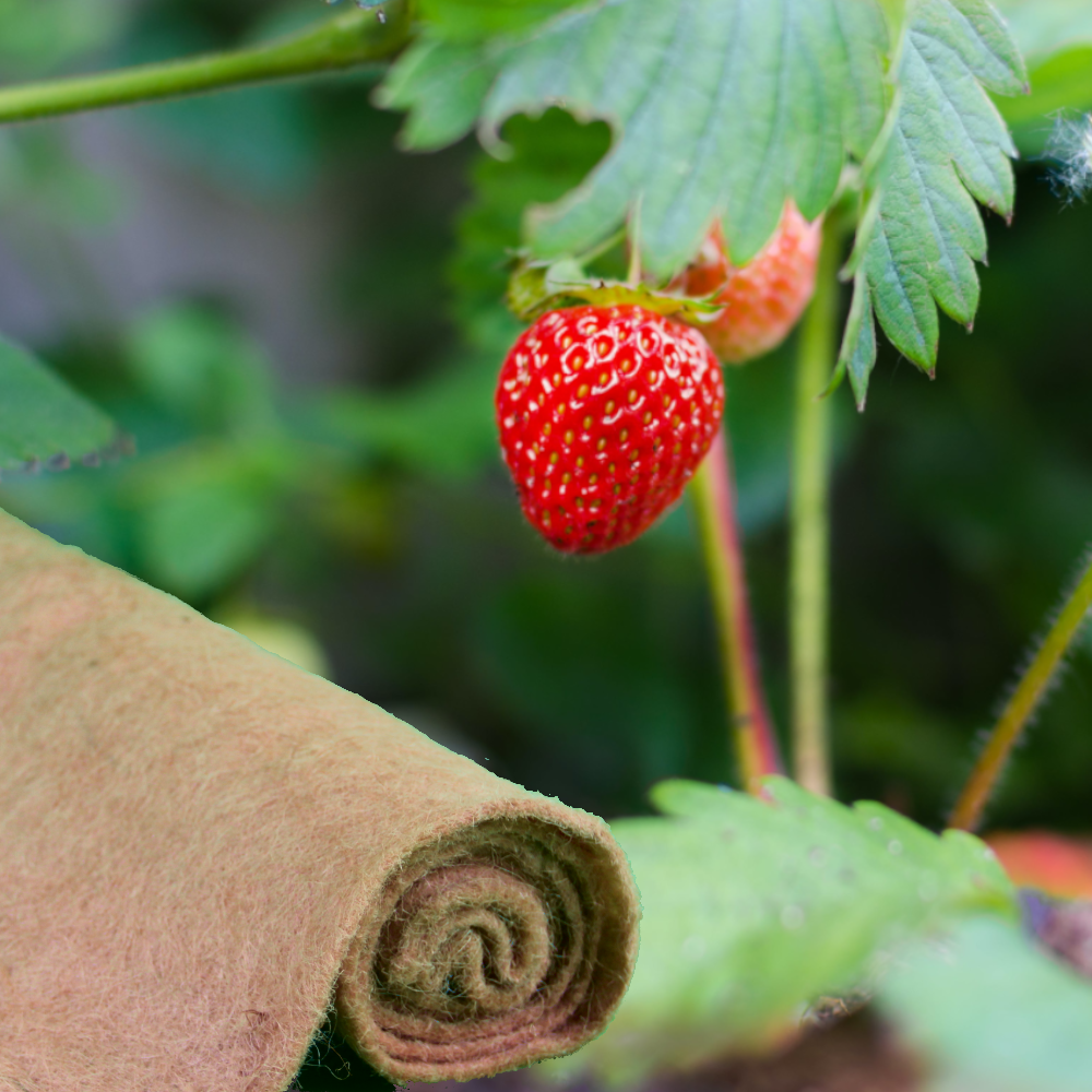 Erdbeervlies aus Jute