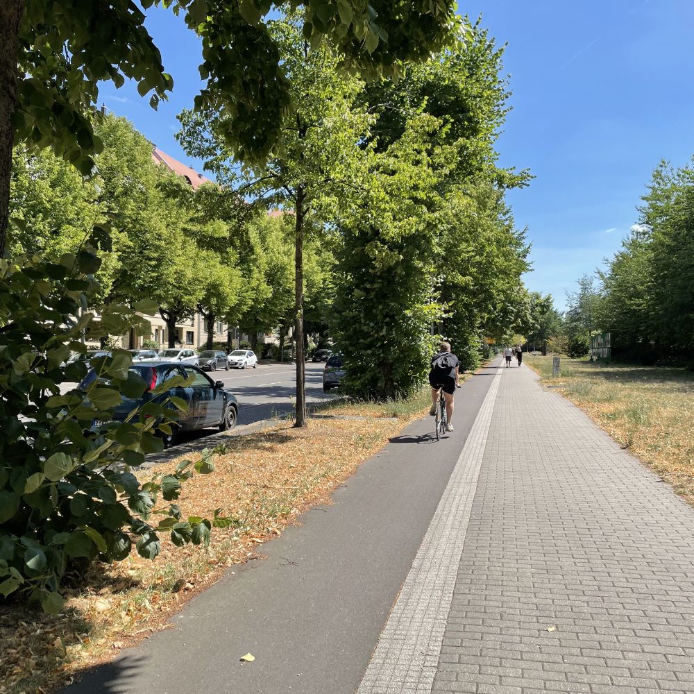 Fahrradfahrer auf einem Geh- und Radweg, umgeben von Bäumen und parkenden Autos.